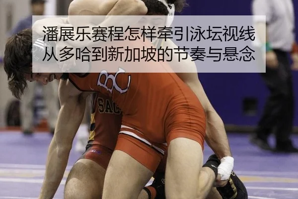 潘展乐赛程怎样牵引泳坛视线 从多哈到新加坡的节奏与悬念